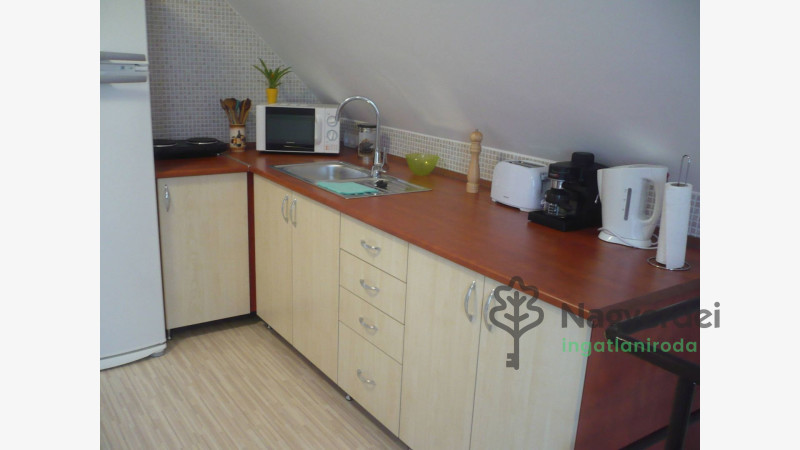 Hajdúszoboszló, Kereskedelmi ingatlan, panzió  