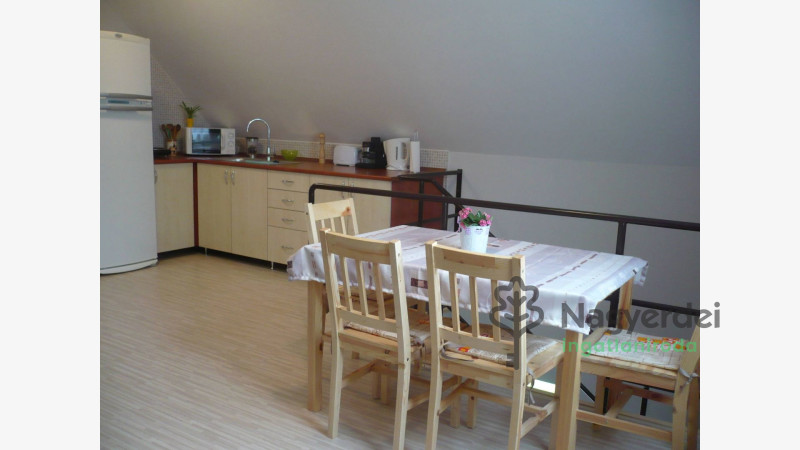 Hajdúszoboszló, Kereskedelmi ingatlan, panzió  