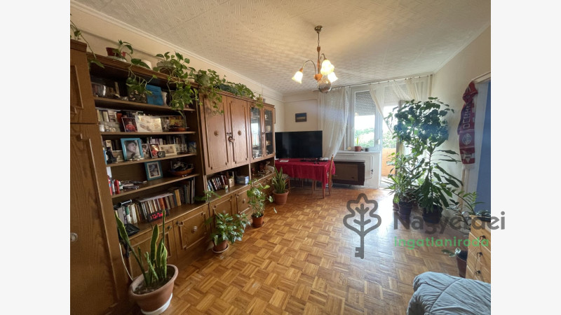 Debrecen, Széchenyikert, Lakás, tégla lakás  