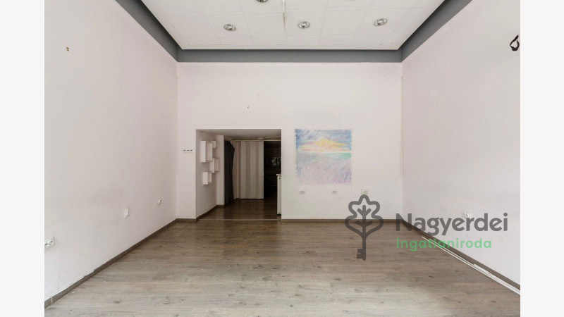 Debrecen, Belváros, Üzlethelyiség, nem üzletközpontban  