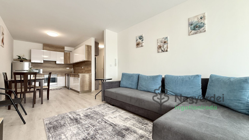 Debrecen, Belváros, Lakás, tégla lakás  