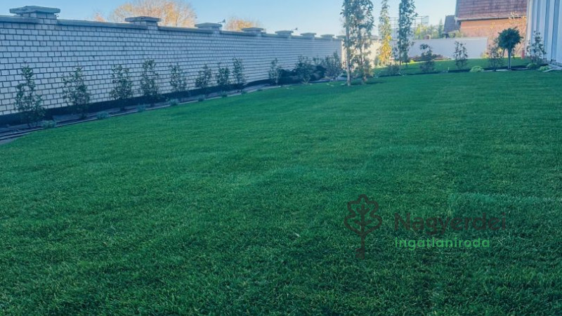 Debrecen, Nagyerdő, Lakás, tégla lakás  