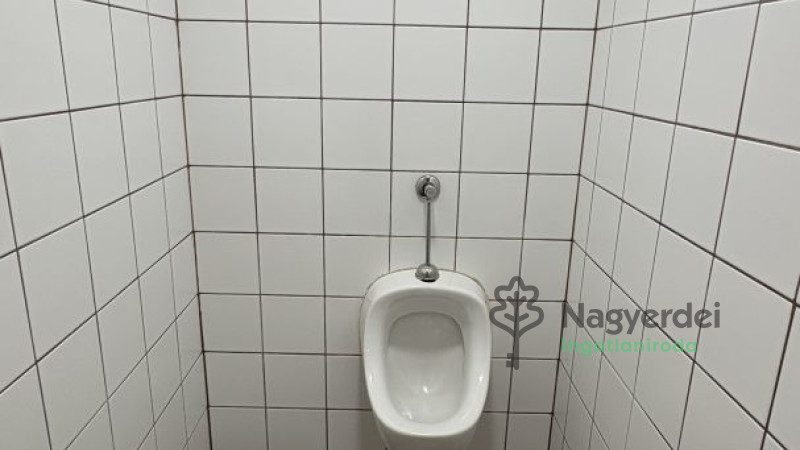 Debrecen, Burgundia, Ház, családi ház  