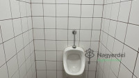 Debrecen, Burgundia, Ház, családi ház  