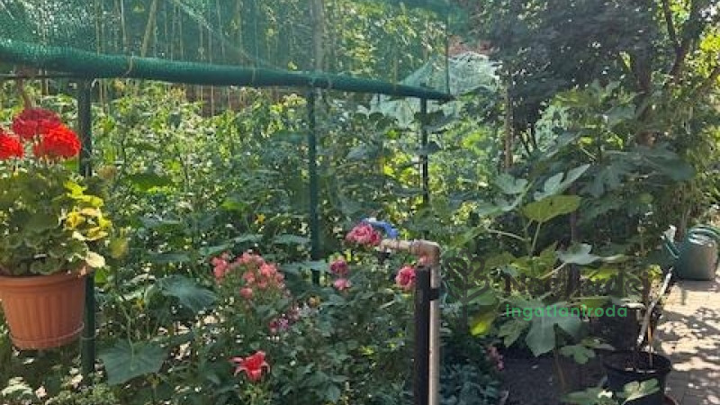 Debrecen, Ház, családi ház  