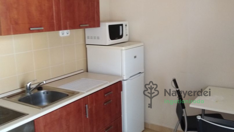 Debrecen, Nagyerdő, Lakás, tégla lakás  