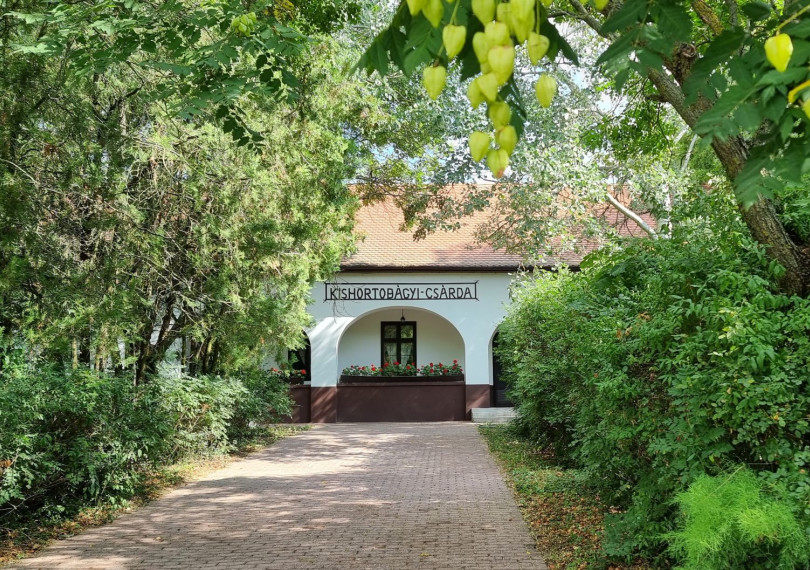 Ház