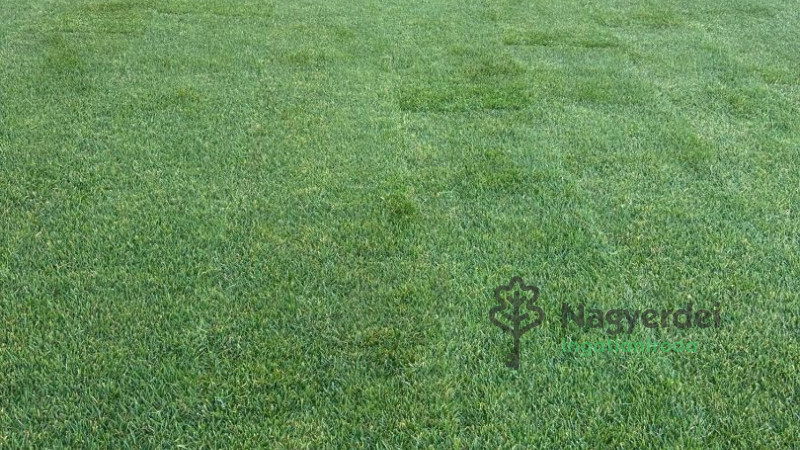 Debrecen, Nagyerdő, Lakás, tégla lakás  