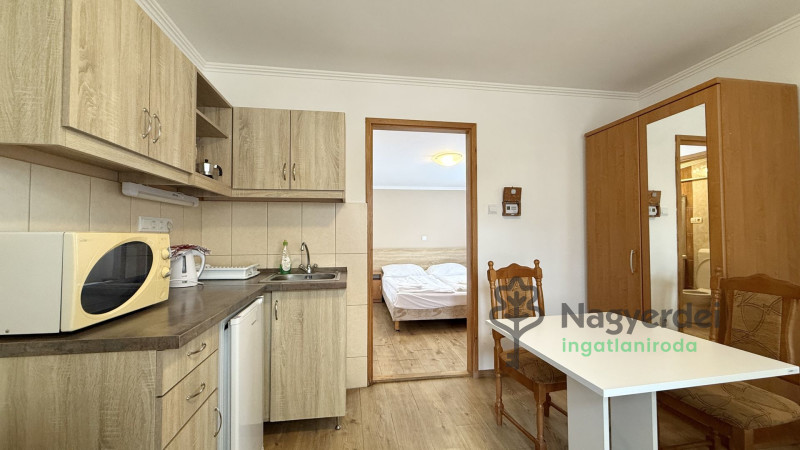 Hajdúszoboszló, Kereskedelmi ingatlan, panzió  