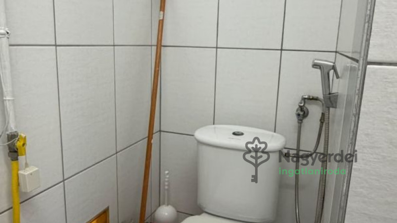 Debrecen, Nagyerdő, Lakás, tégla lakás  