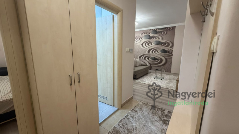 Debrecen, Nagyerdő, Lakás, tégla lakás  