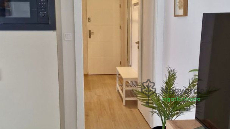 Debrecen, Egyetemváros, Lakás, tégla lakás  