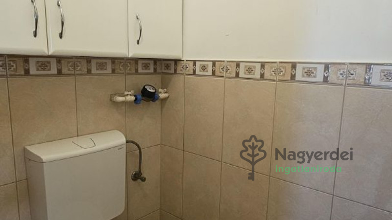 Debrecen, Nagyerdő, Lakás, tégla lakás  