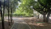 Debrecen, Sestakert, Lakás, tégla lakás  