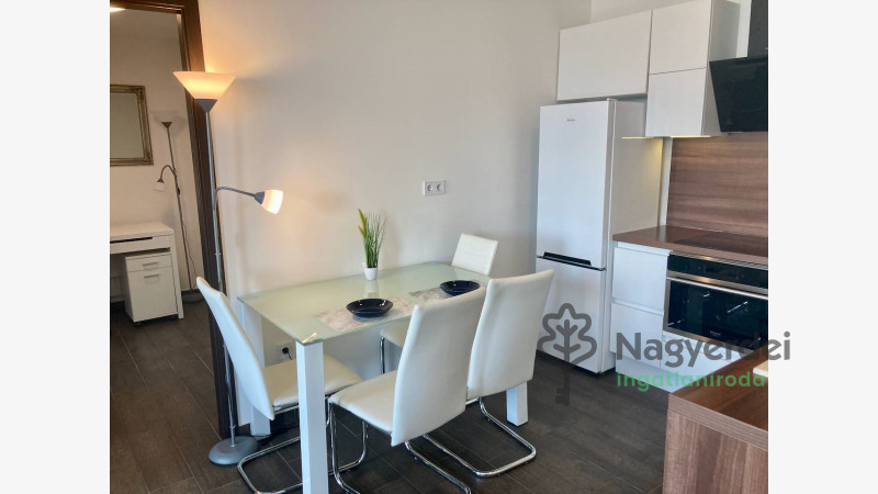 Debrecen, Belváros, Lakás, tégla lakás  