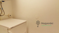Debrecen, Nagyerdő, Lakás, tégla lakás  