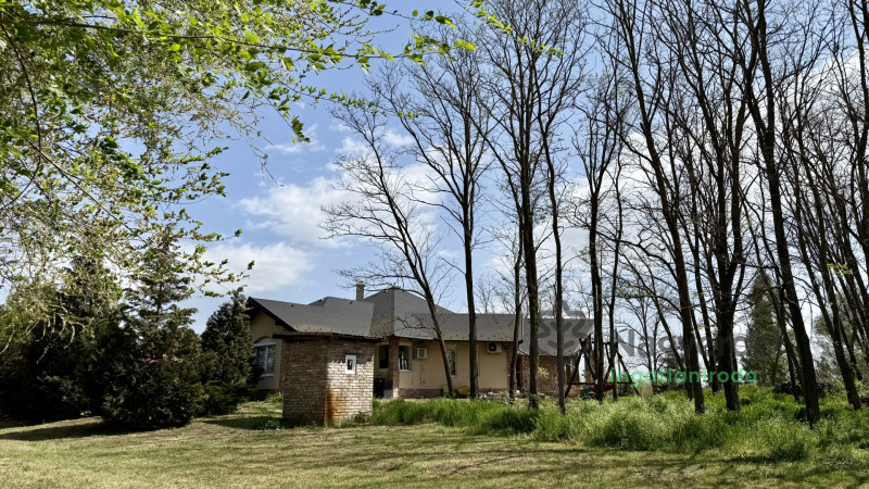 Debrecen, Ház, családi ház  