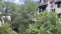 Debrecen, Sestakert, Lakás, tégla lakás  