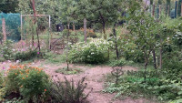 Debrecen, Nagyerdőalja, Ház, ikerház  