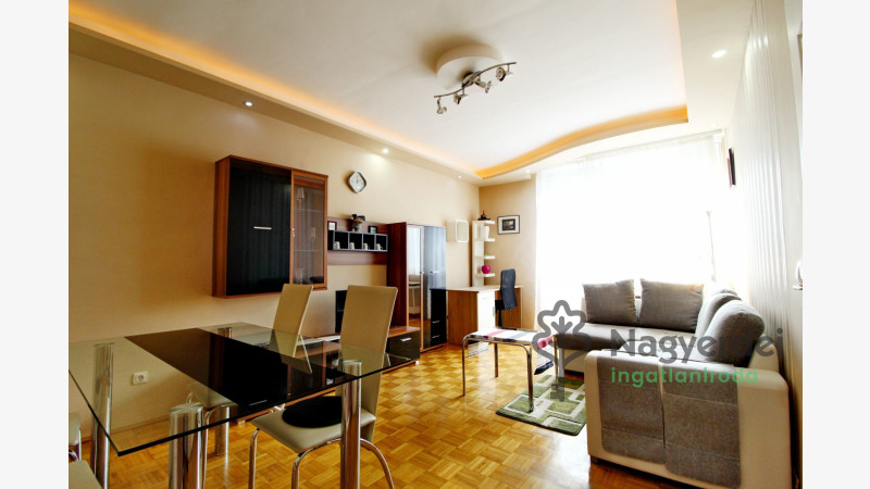 Debrecen, Nagyerdőalja, Lakás, tégla lakás  