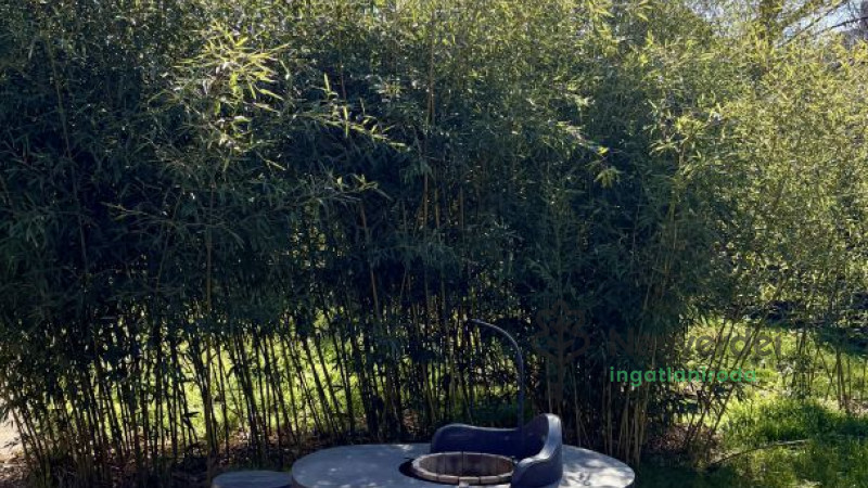 Debrecen, Széchenyikert, Ház, családi ház  