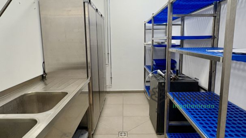 Debrecen, Belváros, Üzlethelyiség, nem üzletközpontban  