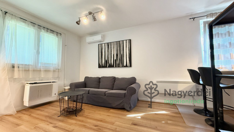 Debrecen, Nagyerdő, Lakás, tégla lakás  