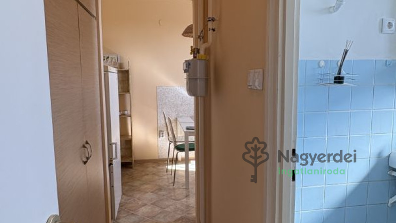 Debrecen, Nagyerdő, Lakás, tégla lakás  