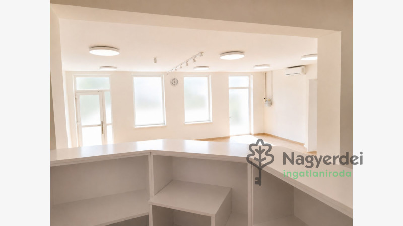 Debrecen, Nagyerdőalja, Üzlethelyiség, nem üzletközpontban  