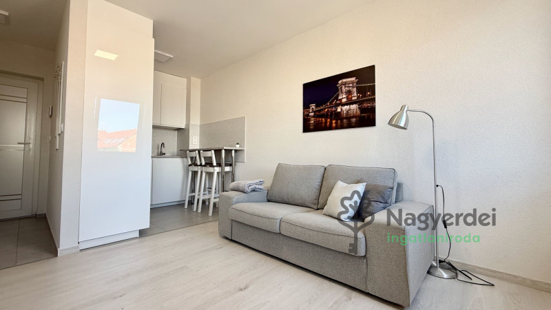 Debrecen, Belváros, Lakás, tégla lakás  