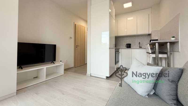 Debrecen, Belváros, Lakás, tégla lakás  