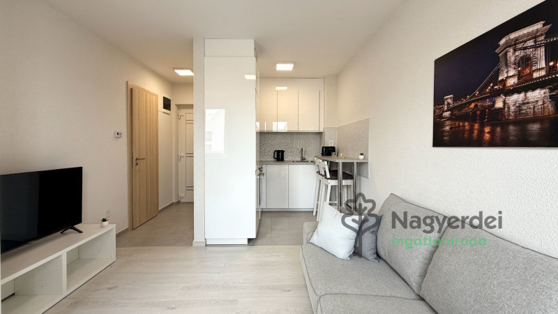 Debrecen, Belváros, Lakás, tégla lakás  