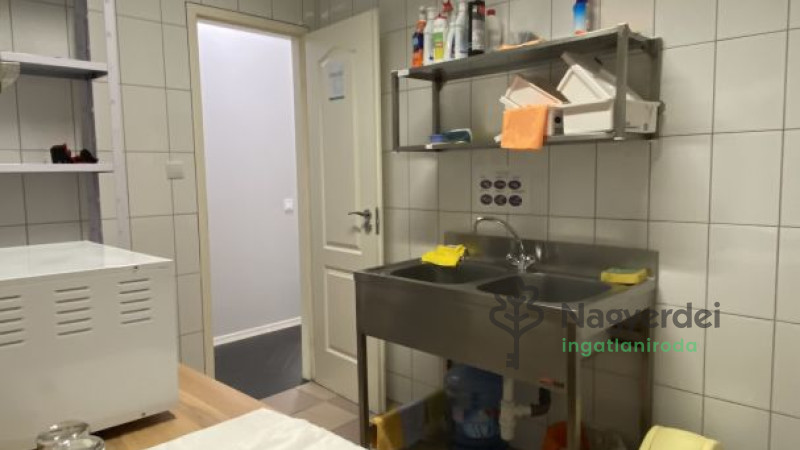 Debrecen, Belváros, ház  