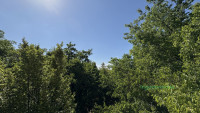 Debrecen, Nagyerdő, Lakás, tégla lakás  