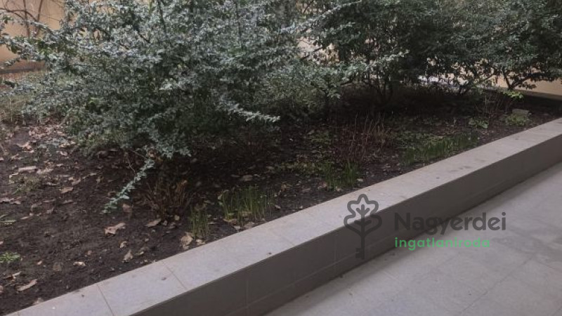 Debrecen, Belváros, Lakás, tégla lakás  