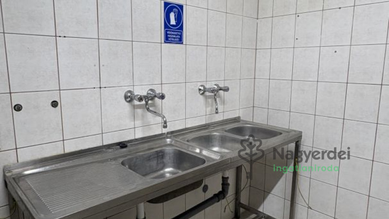 Debrecen, Júliatelep, Kereskedelmi ingatlan, vendéglő  