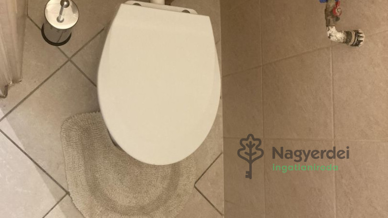 Debrecen, Egyetemváros, Lakás, tégla lakás  