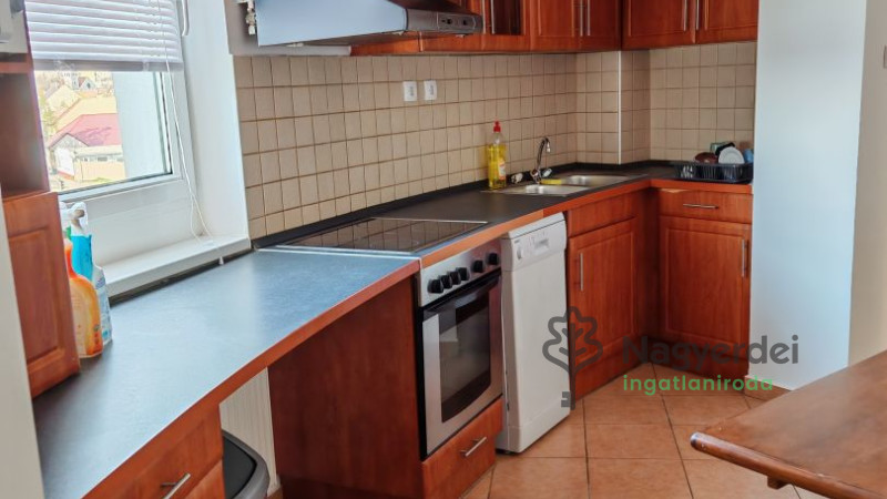 Debrecen, Széchenyikert, Lakás, tégla lakás  