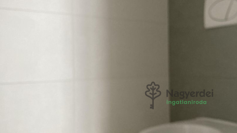 Debrecen, Miklóskapu, Lakás, tégla lakás  