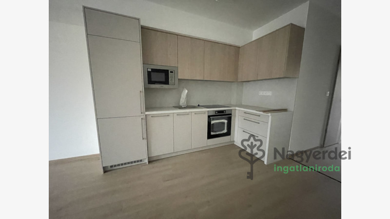 Debrecen, Miklóskapu, Lakás, tégla lakás  