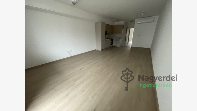 Debrecen, Miklóskapu, Lakás, tégla lakás  