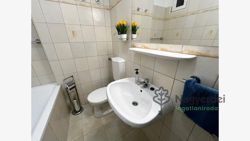 Debrecen, Nagyerdőalja, Lakás, tégla lakás  