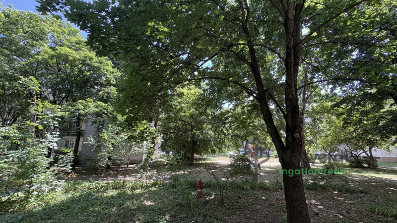 Debrecen, Nagyerdőalja, Lakás, tégla lakás  