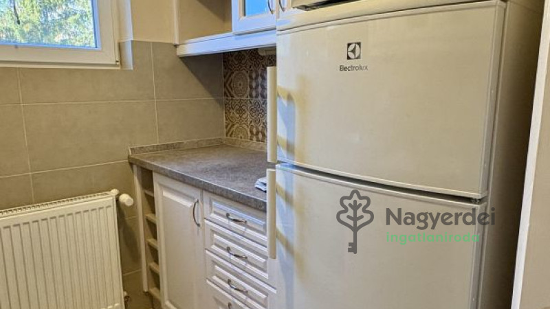 Debrecen, Nagyerdő, Lakás, tégla lakás  