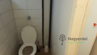 Debrecen, Pércsikert, Üzlethelyiség, nem üzletközpontban  