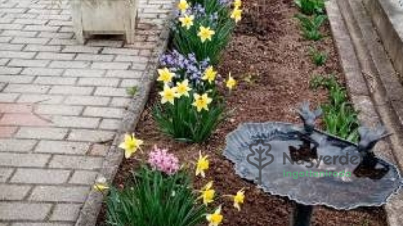 Vonyarcvashegy, Ház, családi ház  