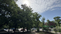 Debrecen, Nagyerdő, Lakás, tégla lakás  