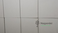 Debrecen, Vénkert, Üzlethelyiség, nem üzletközpontban  