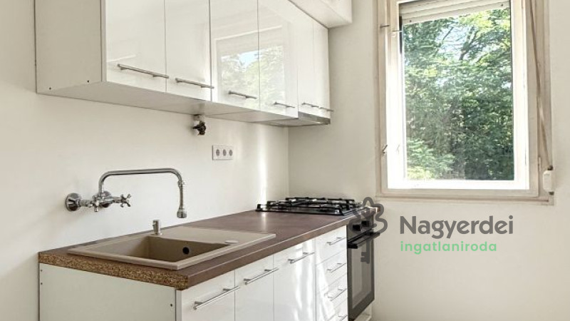 Debrecen, Nagyerdő, Lakás, tégla lakás  