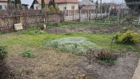 Debrecen, Józsa(Felső), Ház, családi ház  